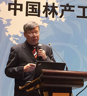 協會理事長葉克林先生做主題報告發言