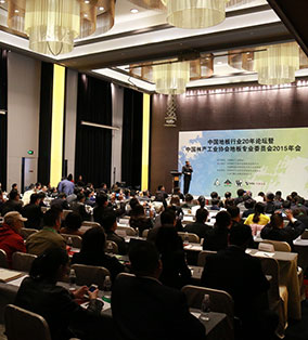 中國地板行業20年論壇暨中國林產工業地板專業委員會2015年會現場