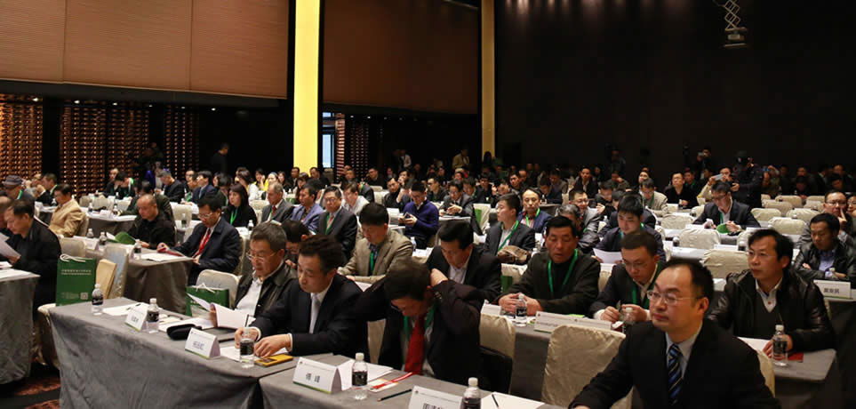 中國地板行業20年論壇暨中國林產工業地板專業委員會2015年會現場